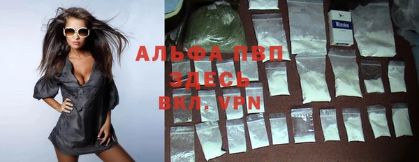 стафф Заводоуковск