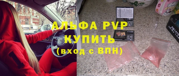 стафф Заводоуковск