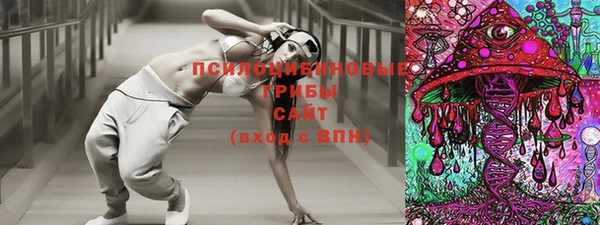 стафф Заводоуковск