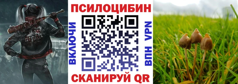 Купить  Медвежьегорск  Галлюциногенные грибы Magic Shrooms 
